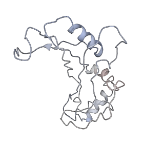 10280_6spb_F_v1-2
Pseudomonas aeruginosa 50s ribosome from a clinical isolate with a mutation in uL6