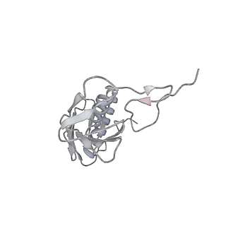 10280_6spb_G_v1-2
Pseudomonas aeruginosa 50s ribosome from a clinical isolate with a mutation in uL6