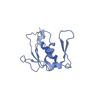 10280_6spb_J_v1-2
Pseudomonas aeruginosa 50s ribosome from a clinical isolate with a mutation in uL6