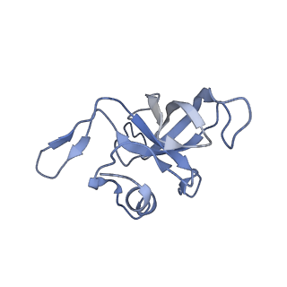 10280_6spb_K_v1-2
Pseudomonas aeruginosa 50s ribosome from a clinical isolate with a mutation in uL6