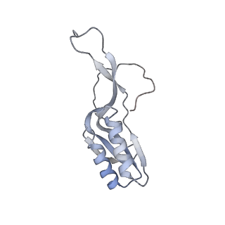 10280_6spb_M_v1-2
Pseudomonas aeruginosa 50s ribosome from a clinical isolate with a mutation in uL6