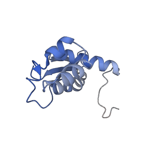 10280_6spb_N_v1-2
Pseudomonas aeruginosa 50s ribosome from a clinical isolate with a mutation in uL6