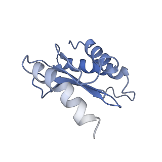 10280_6spb_O_v1-2
Pseudomonas aeruginosa 50s ribosome from a clinical isolate with a mutation in uL6