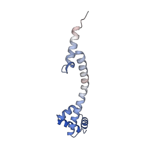 10280_6spb_Q_v1-2
Pseudomonas aeruginosa 50s ribosome from a clinical isolate with a mutation in uL6