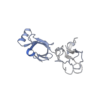 10280_6spb_V_v1-2
Pseudomonas aeruginosa 50s ribosome from a clinical isolate with a mutation in uL6