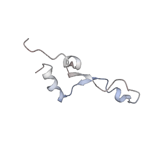 10282_6spd_5_v1-2
Pseudomonas aeruginosa 50s ribosome from a clinical isolate