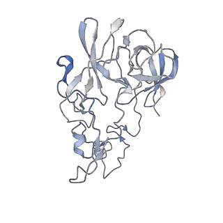 10282_6spd_C_v1-2
Pseudomonas aeruginosa 50s ribosome from a clinical isolate