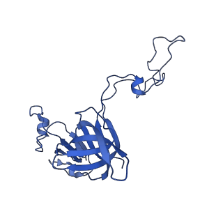 10282_6spd_D_v1-2
Pseudomonas aeruginosa 50s ribosome from a clinical isolate