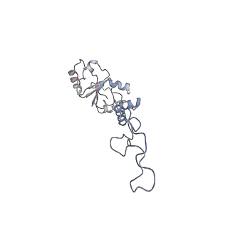 10282_6spd_E_v1-2
Pseudomonas aeruginosa 50s ribosome from a clinical isolate