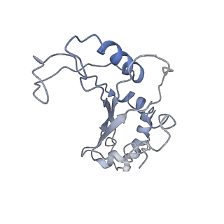 10282_6spd_F_v1-2
Pseudomonas aeruginosa 50s ribosome from a clinical isolate