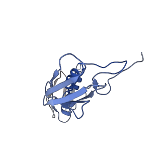 10282_6spd_G_v1-2
Pseudomonas aeruginosa 50s ribosome from a clinical isolate