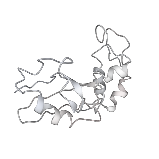 10282_6spd_I_v1-2
Pseudomonas aeruginosa 50s ribosome from a clinical isolate