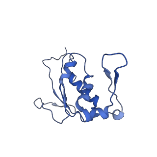 10282_6spd_J_v1-2
Pseudomonas aeruginosa 50s ribosome from a clinical isolate