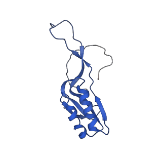 10282_6spd_M_v1-2
Pseudomonas aeruginosa 50s ribosome from a clinical isolate