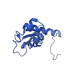 10282_6spd_N_v1-2
Pseudomonas aeruginosa 50s ribosome from a clinical isolate