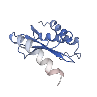 10282_6spd_O_v1-2
Pseudomonas aeruginosa 50s ribosome from a clinical isolate