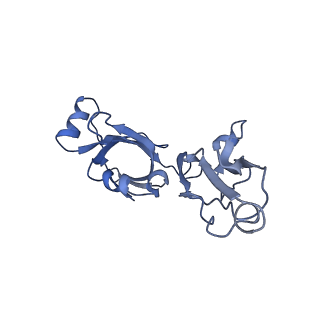 10282_6spd_V_v1-2
Pseudomonas aeruginosa 50s ribosome from a clinical isolate