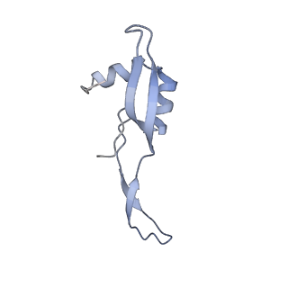 10282_6spd_X_v1-2
Pseudomonas aeruginosa 50s ribosome from a clinical isolate