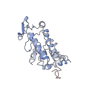 10283_6spe_b_v1-2
Pseudomonas aeruginosa 30s ribosome from a clinical isolate