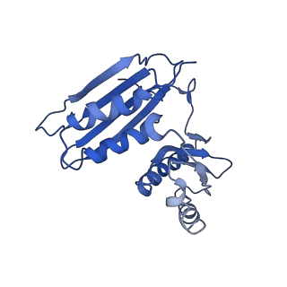 10283_6spe_c_v1-2
Pseudomonas aeruginosa 30s ribosome from a clinical isolate