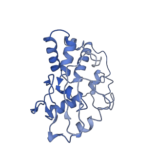 10283_6spe_d_v1-2
Pseudomonas aeruginosa 30s ribosome from a clinical isolate