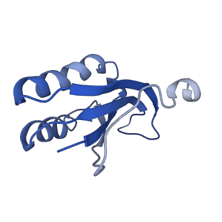 10283_6spe_f_v1-2
Pseudomonas aeruginosa 30s ribosome from a clinical isolate