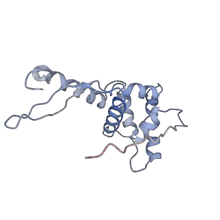 10283_6spe_g_v1-2
Pseudomonas aeruginosa 30s ribosome from a clinical isolate