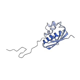 10283_6spe_i_v1-2
Pseudomonas aeruginosa 30s ribosome from a clinical isolate