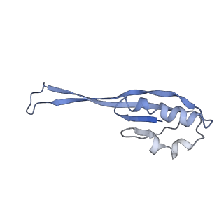 10283_6spe_j_v1-2
Pseudomonas aeruginosa 30s ribosome from a clinical isolate