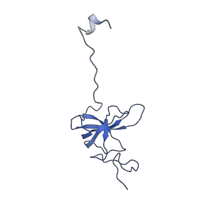 10283_6spe_l_v1-2
Pseudomonas aeruginosa 30s ribosome from a clinical isolate
