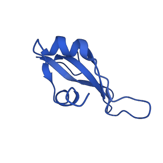 10283_6spe_p_v1-2
Pseudomonas aeruginosa 30s ribosome from a clinical isolate