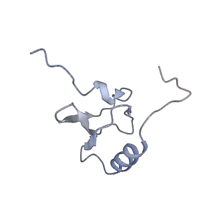 10283_6spe_s_v1-2
Pseudomonas aeruginosa 30s ribosome from a clinical isolate