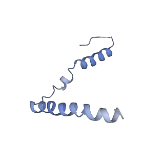 10283_6spe_u_v1-2
Pseudomonas aeruginosa 30s ribosome from a clinical isolate