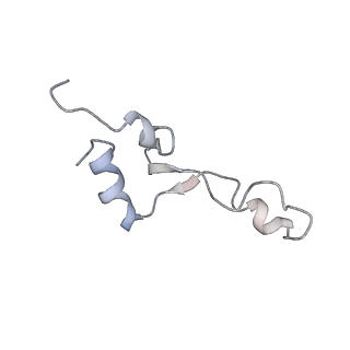 10284_6spf_5_v1-2
Pseudomonas aeruginosa 70s ribosome from an aminoglycoside resistant clinical isolate