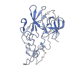 10284_6spf_C_v1-2
Pseudomonas aeruginosa 70s ribosome from an aminoglycoside resistant clinical isolate