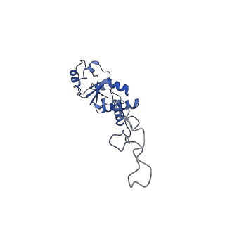 10284_6spf_E_v1-2
Pseudomonas aeruginosa 70s ribosome from an aminoglycoside resistant clinical isolate