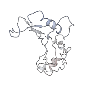 10284_6spf_F_v1-2
Pseudomonas aeruginosa 70s ribosome from an aminoglycoside resistant clinical isolate