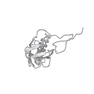 10284_6spf_G_v1-2
Pseudomonas aeruginosa 70s ribosome from an aminoglycoside resistant clinical isolate