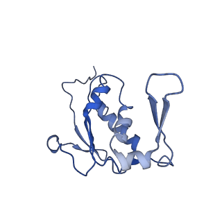 10284_6spf_J_v1-2
Pseudomonas aeruginosa 70s ribosome from an aminoglycoside resistant clinical isolate