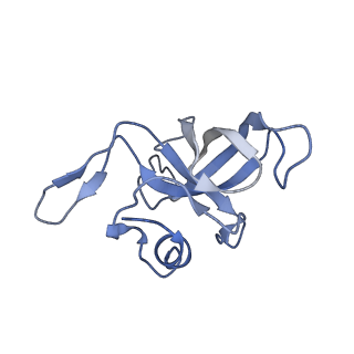 10284_6spf_K_v1-2
Pseudomonas aeruginosa 70s ribosome from an aminoglycoside resistant clinical isolate