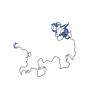 10284_6spf_L_v1-2
Pseudomonas aeruginosa 70s ribosome from an aminoglycoside resistant clinical isolate