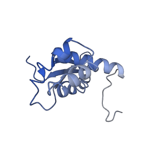 10284_6spf_N_v1-2
Pseudomonas aeruginosa 70s ribosome from an aminoglycoside resistant clinical isolate