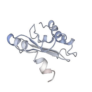 10284_6spf_O_v1-2
Pseudomonas aeruginosa 70s ribosome from an aminoglycoside resistant clinical isolate