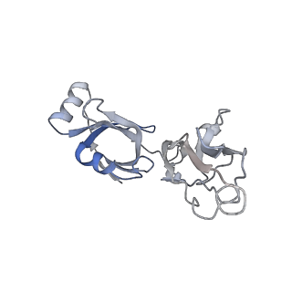 10284_6spf_V_v1-2
Pseudomonas aeruginosa 70s ribosome from an aminoglycoside resistant clinical isolate