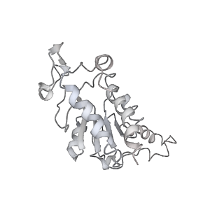 10284_6spf_b_v1-2
Pseudomonas aeruginosa 70s ribosome from an aminoglycoside resistant clinical isolate