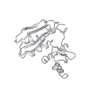 10284_6spf_c_v1-2
Pseudomonas aeruginosa 70s ribosome from an aminoglycoside resistant clinical isolate