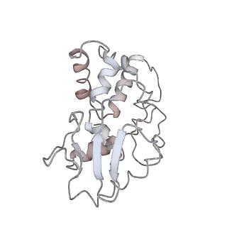 10284_6spf_d_v1-2
Pseudomonas aeruginosa 70s ribosome from an aminoglycoside resistant clinical isolate