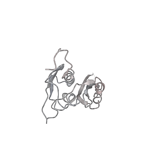 10284_6spf_e_v1-2
Pseudomonas aeruginosa 70s ribosome from an aminoglycoside resistant clinical isolate