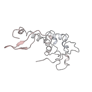 10284_6spf_g_v1-2
Pseudomonas aeruginosa 70s ribosome from an aminoglycoside resistant clinical isolate