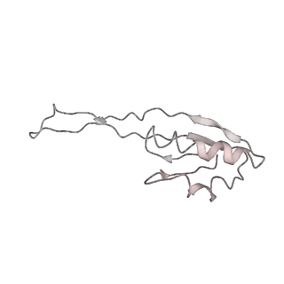 10284_6spf_j_v1-2
Pseudomonas aeruginosa 70s ribosome from an aminoglycoside resistant clinical isolate